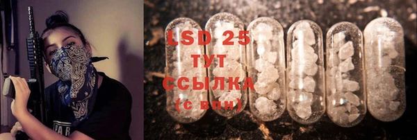 spice Снежногорск