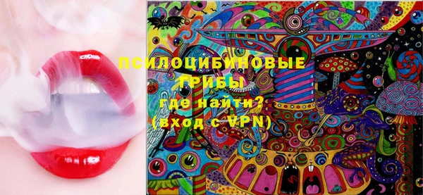 гашик Слюдянка