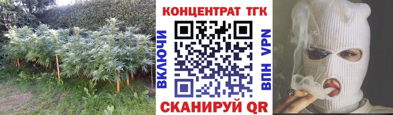 кракен Таштагол ТГК концентрат купить